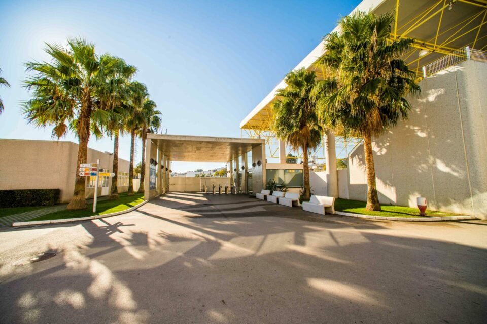 Imported Article – 2026-02-09 03:30:10