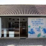 A forma mais simples de os adolescentes protegerem sua saúde mental