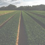 Marcelo considera Seguro um Presidente de proximidade