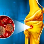 Imported Article – 2026-02-02 05:02:49