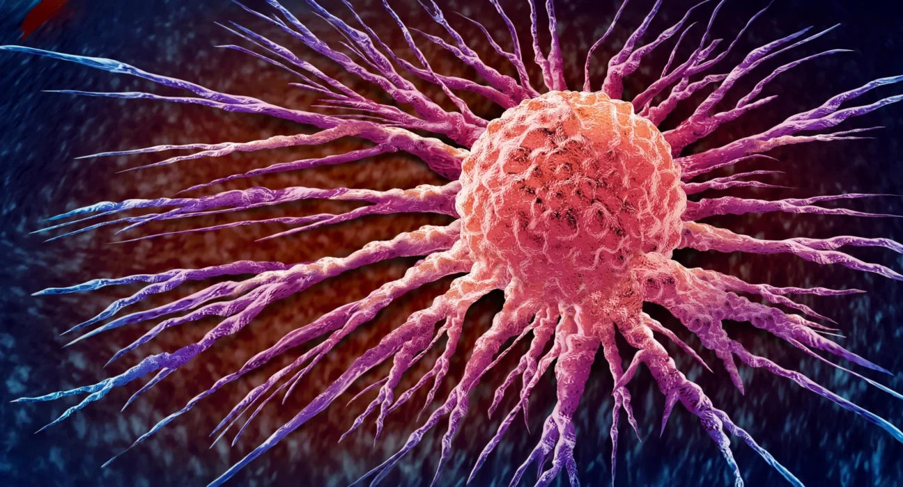 Imported Article – 2026-02-02 05:02:49