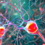 Uma simples combinação de medicamentos pode ter sucesso onde tratamentos para fibrose hepática falharam