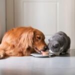 Jornal Económico: Principais Destaques de 3 de Março