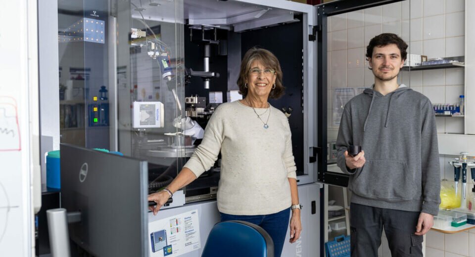 "Enzima Portuguesa Facilita Captura de Carbono e Produção de Combustíveis Verdes"