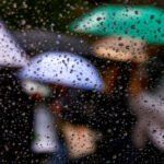 Seguros Privados Elevam em 39% a Probabilidade de Consultas Fora do Serviço Público