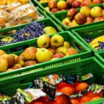 Frotas Eletrificadas Crescem em 2025, Mesmo com Renda Mais Elevada