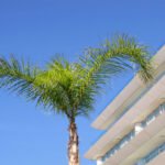 Euribor sobe novamente a três, seis e doze meses