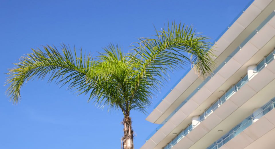 Euribor a 6 meses ganha destaque