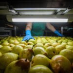 Cimeira de Engajamento das Pessoas: Boas Práticas e Dicas para Lidar com a IA