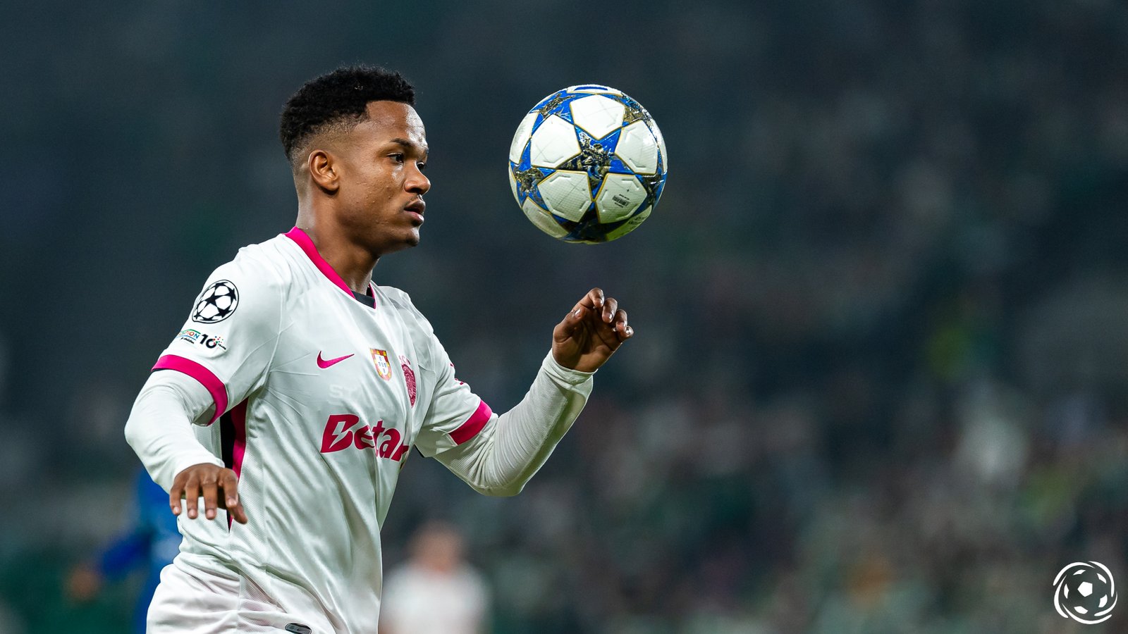 Geny Catamo Apresenta Novas Estratégias para o Mercado de Verão