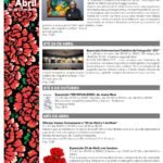 Morten Hjulmand responde a José Mourinho: Tenho uma boa relação com os árbitros