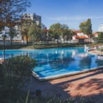 Cientistas descobriram uma maneira de ajudar os intestinos envelhecidos a se curarem sozinhos