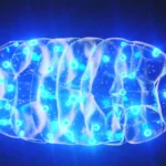 Rayo Vallecano conquista vitória suada contra o Elche