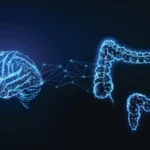 Destaques do Jornal Económico