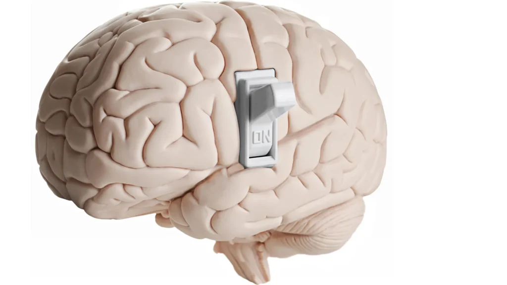 Cientistas descobrem interruptor oculto no cérebro que indica quando parar de comer