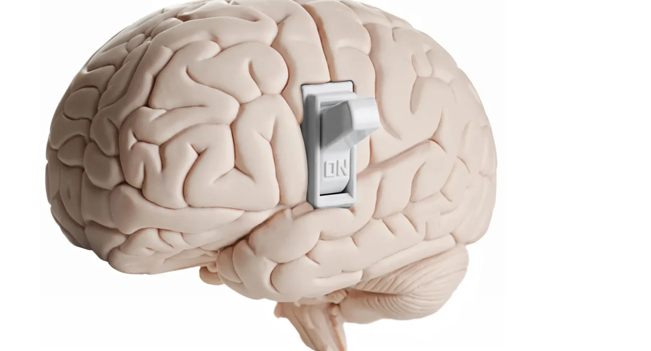 Cientistas descobrem interruptor oculto no cérebro que indica quando parar de comer