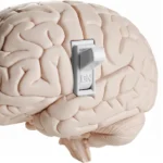 Estrela da Amadora recupera jogador a tempo do jogo contra o Sporting