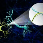 Nuno Borges cai nos pares em Bucareste e enfrenta teste de fogo em Monte Carlo