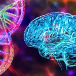 Artur Jorge fala sobre renovação no Cruzeiro e critica derrota na Taça Libertadores: Resultado ingrato para nós