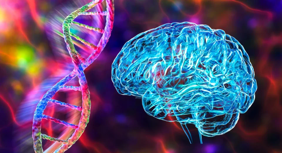 Uma mutação gênica pode aprisionar o cérebro na realidade errada em pacientes com esquizofrenia