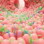 Petroprix amplia presença em Lisboa com nova loja em Castanheira do Ribatejo