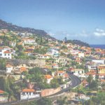 Francisco Trincão atinge 200 jogos pelo Sporting diante do Arsenal