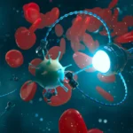 Operação do Metrobus entre Coimbra e Serpins começa em dezembro