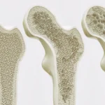 Marcelo Rebelo de Sousa enaltece os heróis surdolímpicos portugueses