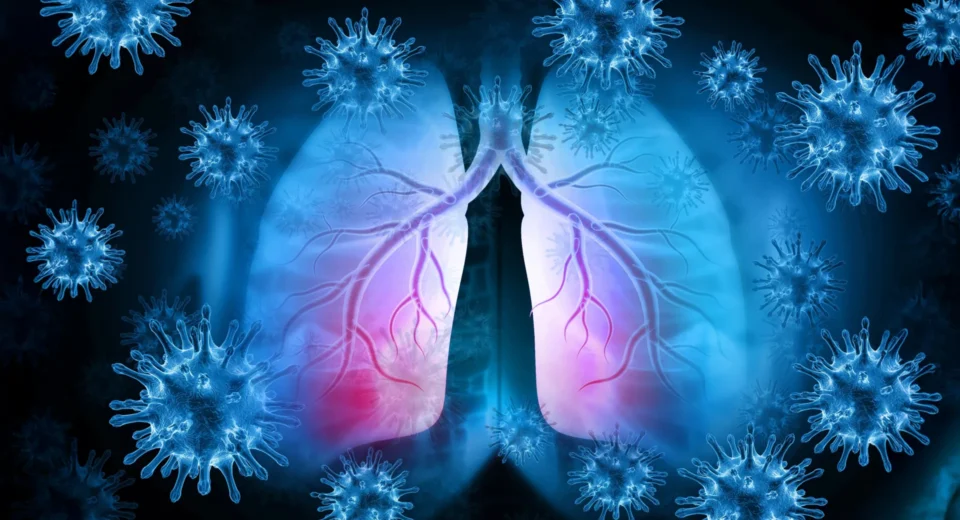 Cientistas descobrem por que a gripe e a COVID afetam tão intensamente os idosos