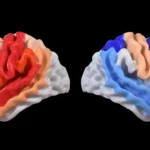 Francisco Cabral conquista vitória na estreia em duplas no Masters 1000 de Madrid