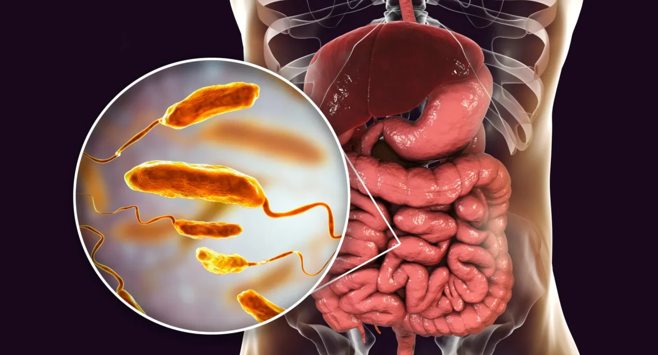 Esta dieta pode reduzir infecções por cólera em até 100 vezes