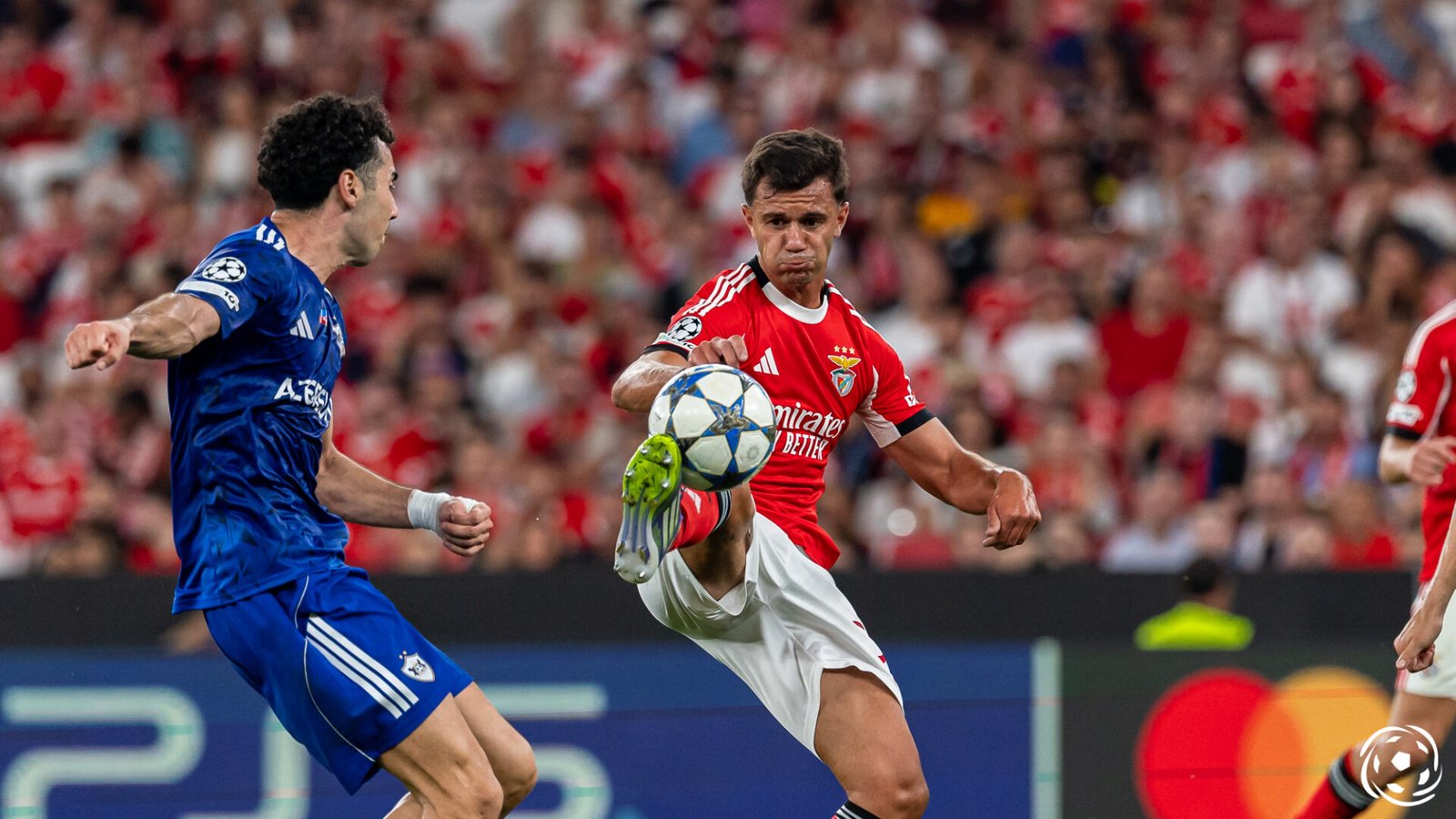 Fim da linha: Henrique Araújo deixa o Benfica e modelo de negócio definido