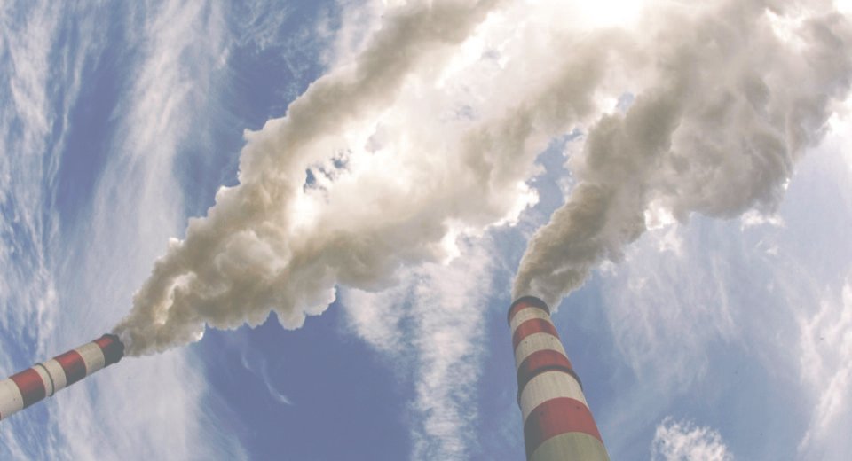 COP30: Coligação é criada para impulsionar os mercados de créditos de carbono