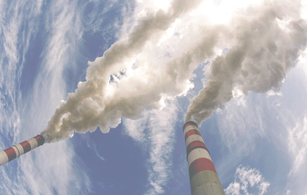 COP30: Coligação é criada para impulsionar os mercados de créditos de carbono